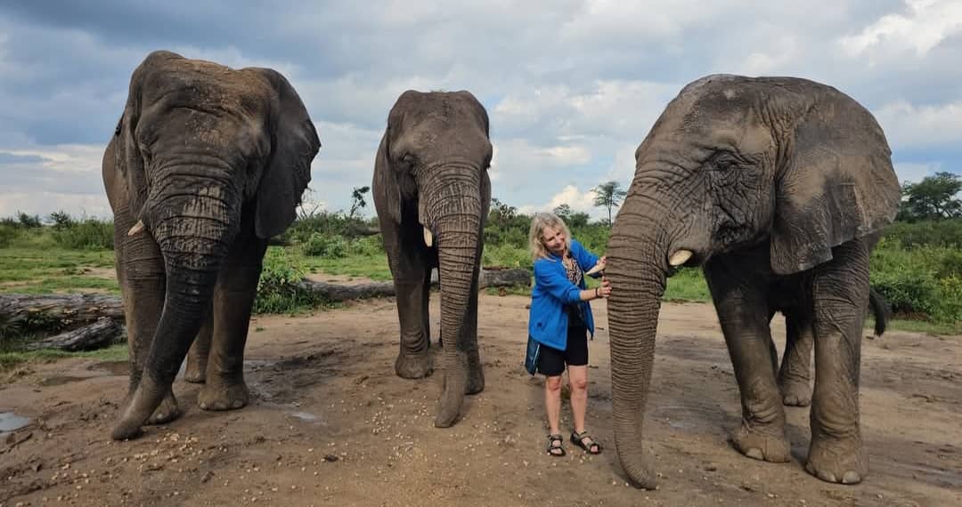 elephant experience